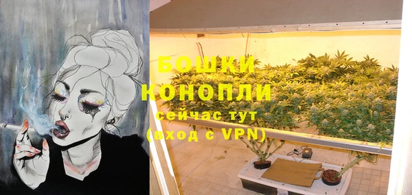 индика Белоозёрский