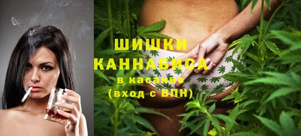 индика Белоозёрский