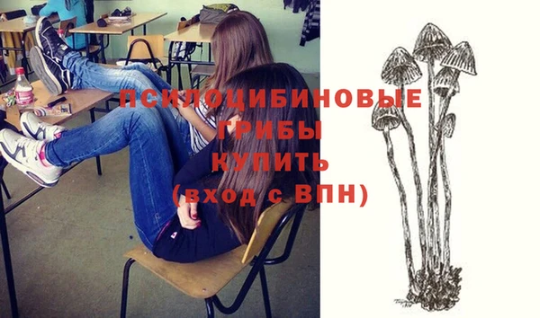 ГАЛЛЮЦИНОГЕННЫЕ ГРИБЫ Беломорск