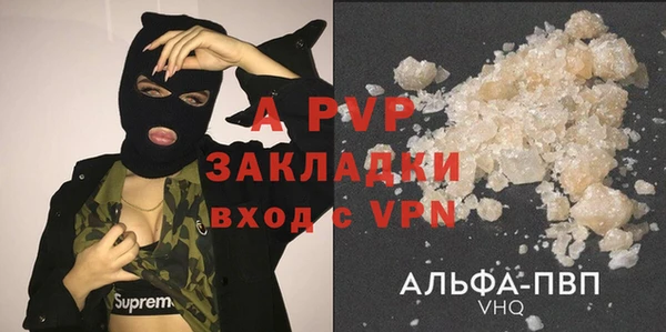 индика Белоозёрский