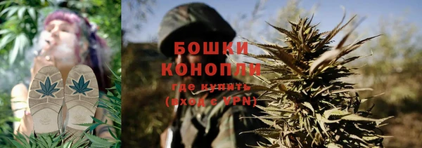 ГАЛЛЮЦИНОГЕННЫЕ ГРИБЫ Беломорск