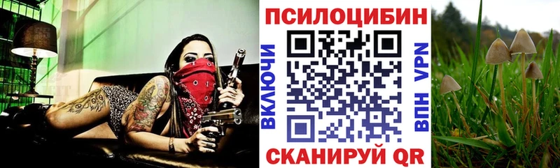 Галлюциногенные грибы мицелий  где найти   Тетюши 